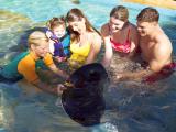 Sea Life Park Hawaii - Hawaiian Reef Shark Snorkel